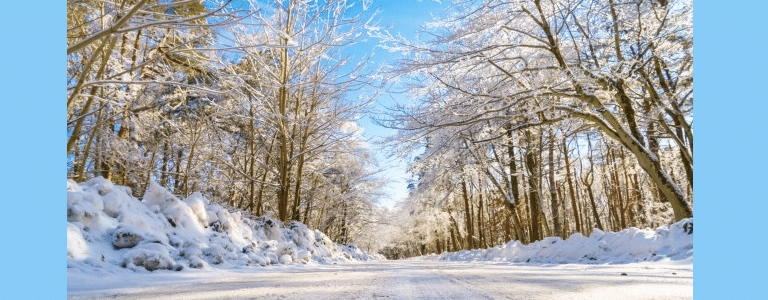 Putting Your Utility Trailer To Work This Winter