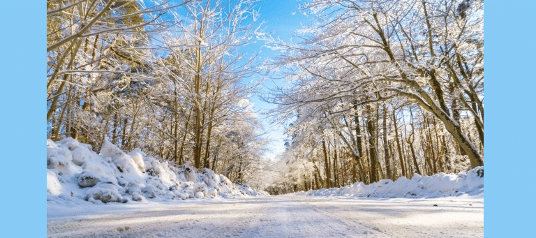 Putting Your Utility Trailer To Work This Winter